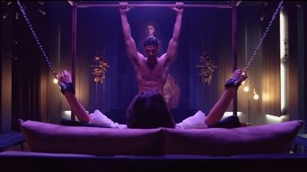 Galeria 1 - 365 días