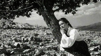 The Girl and the Oak (1955)