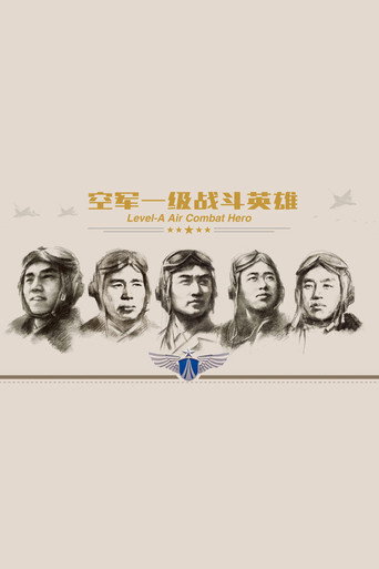 空军一级战斗英雄 (2017)