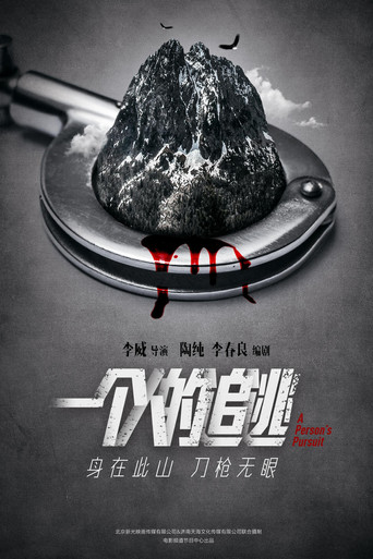 一个人的追逃 poster