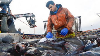 Deadliest Catch S19E7 poster