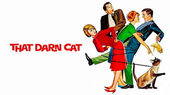 #13 That Darn Cat!