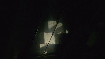 Signal 8 (2019)