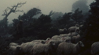 Escena 3 de Orgosolo’s Shepherds