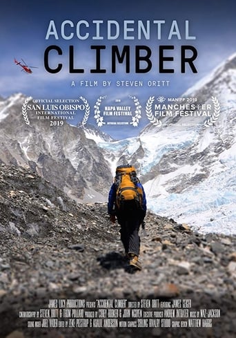 Poster för Accidental Climber