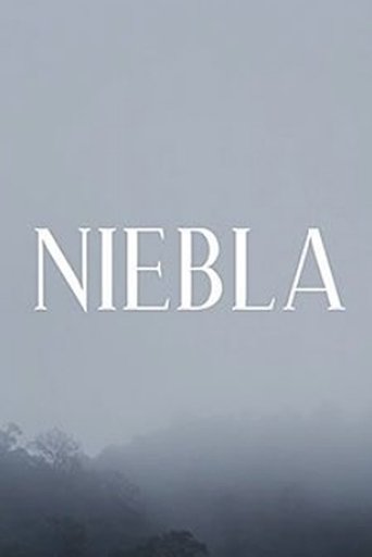 Niebla poster
