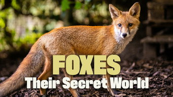 Foxes: Their Secret World (2021)