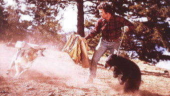 #4 The Bears and I
