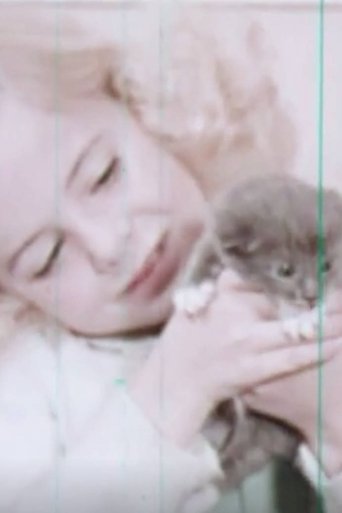 Kittens: Birth and Growth