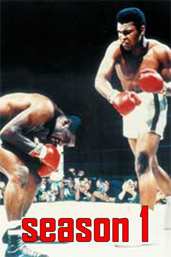 Sezon 1