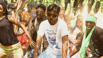 #17 Anegan
