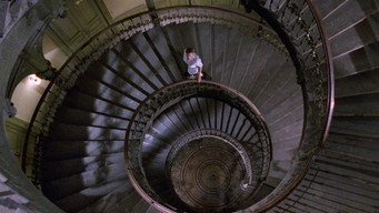 #6 The Spider Labyrinth