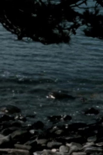 A Chasm and the Summer Sun (2022)