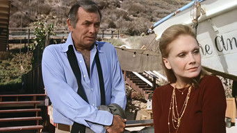 Episode 11 — Reflections