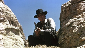 #11 Lawman