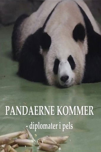 Pandaerne kommer - Diplomater i pels poster