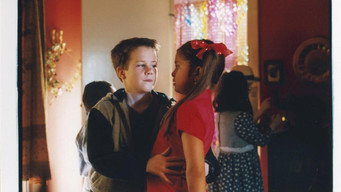Theis and Nico (1999)