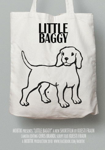 Little Baggy poster