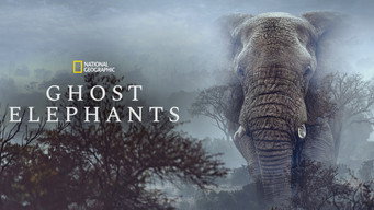 #9 Ghost Elephants