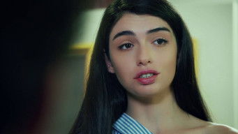 Episode 4 — Episode 4