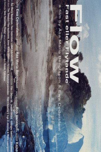 Flow (2006)