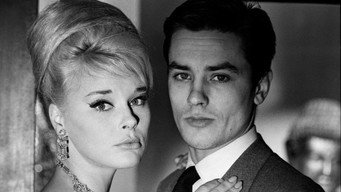 Le chien (1962)