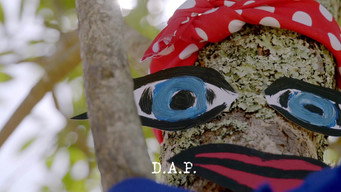 D.A.P.