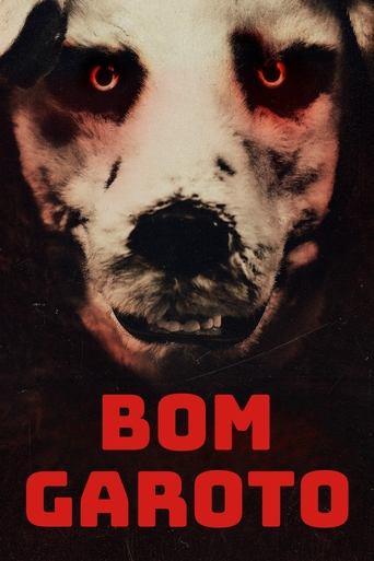 Baixar Filme Bom Garoto (2023) Dual Áudio Torrent
