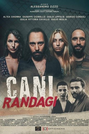 Poster of Cani randagi