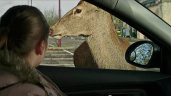 In the Dark Half (2012)