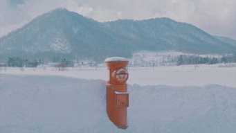 #28 Наше зимове сонце