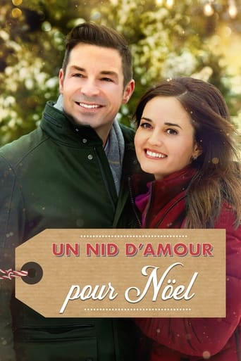 Un nid d'amour pour Noël en streaming 