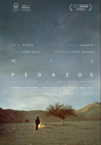 Mil pedazos poster