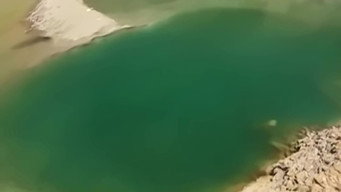 Episode 5 — Episode 5