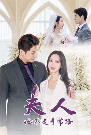 夫人她不走寻常路 poster