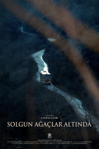 Solgun Ağaçlar Altında