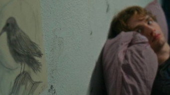 #58 Torn Apart