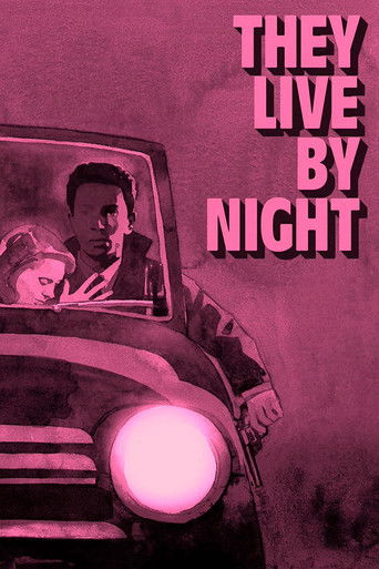 They Live by Night poster 7