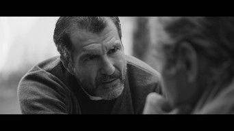 Cena de Noite de São João