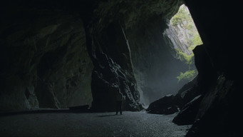 #46 Їжак