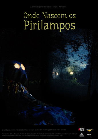 Onde Nascem os Pirilampos