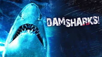 #4 Dam Sharks