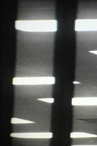 The Phantom Harp (2008)
