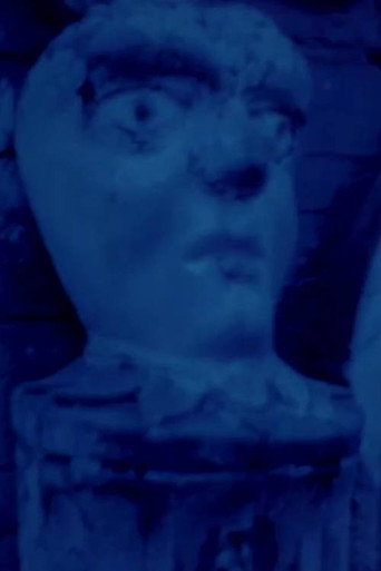 Solarizare (1981年)のポスター画像 - FindKey