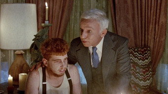 #29 Передмістя