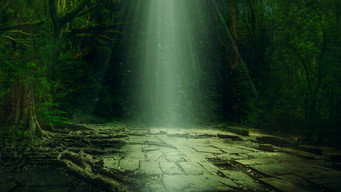 Lost Cities of the Amazon (2020)