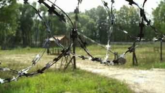 Episode 7 — Episode 7