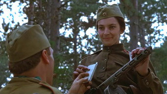 The Misfit Brigade (1987)