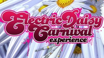 #1 Electric Daisy Carnival Experience