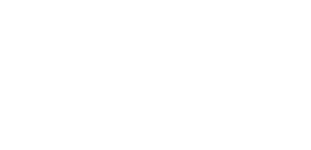 DMZ logo